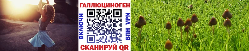Псилоцибиновые грибы Magic Shrooms  кракен ONION  Верхняя Пышма 